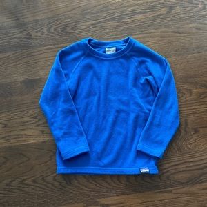 Patagonia Micro D Fleece Crew